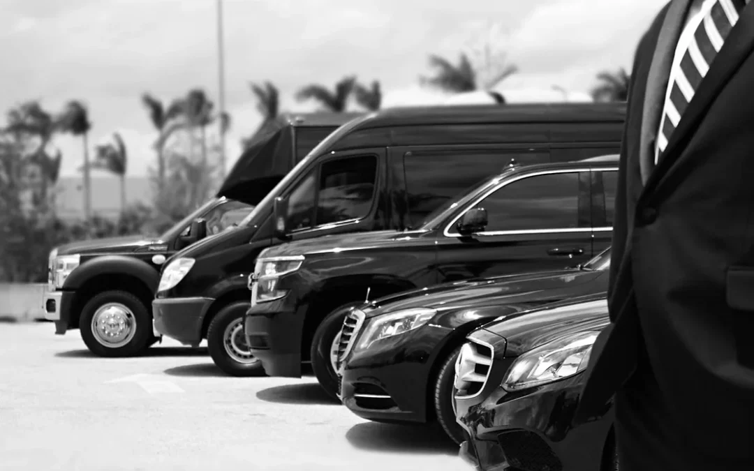 خدمات رجال الأعمال والمؤتمرات وال VIP